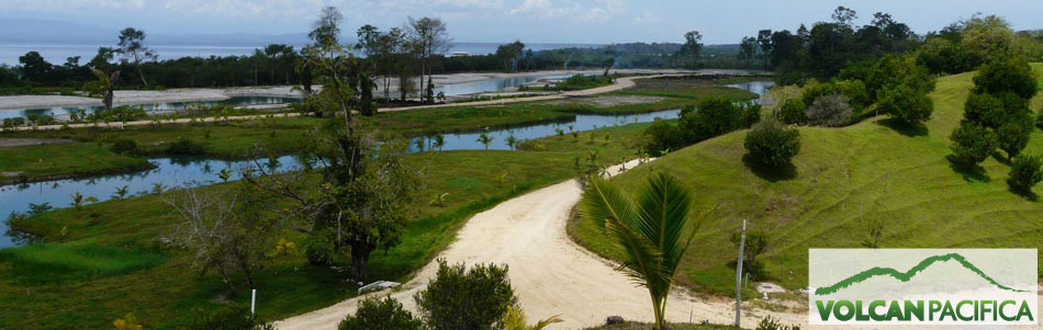 The fields of Volcan