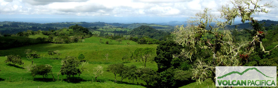 The fields of Volcan