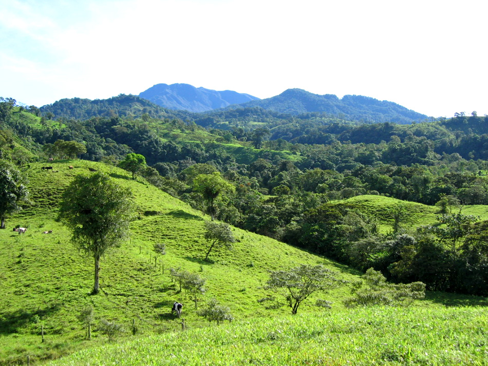 The eastern hillsides, Barú in the background