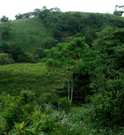 The Land, February 2008